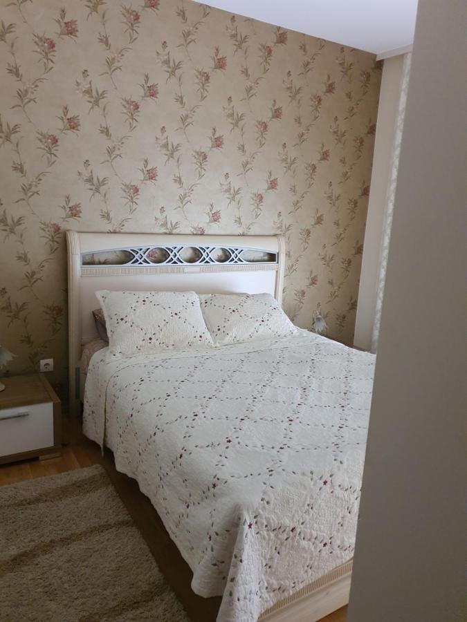 Apartments Soleado Pančevo Dış mekan fotoğraf